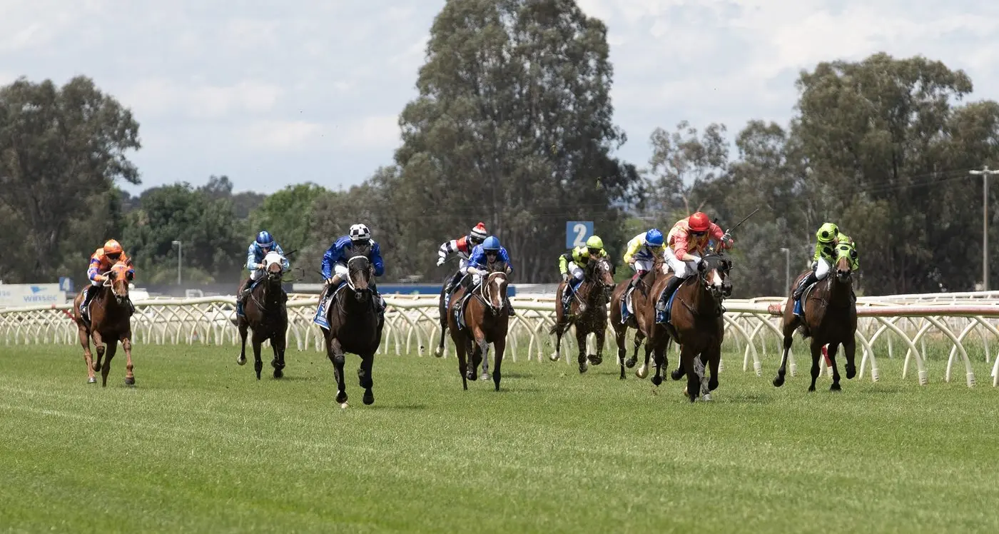 Christmas Party Races success