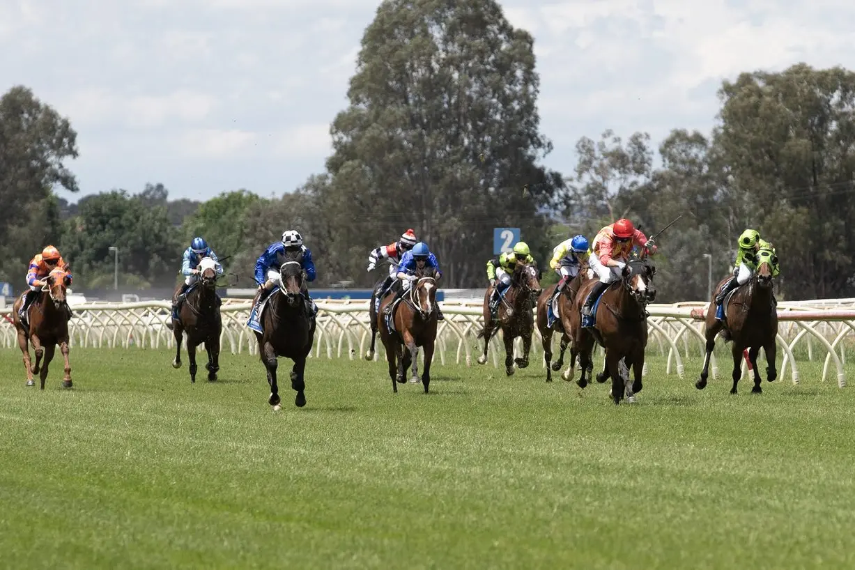 TOP DAY: The Wangaratta Turf Club\\'s Christmas Party Races was a success. PHOTO: Melissa Beattie