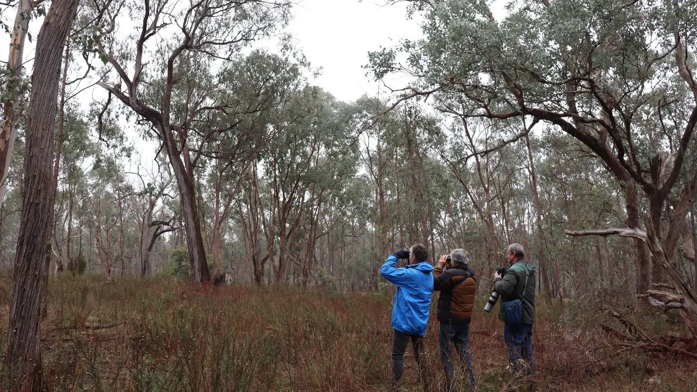 Wildlife Tales to keep you connected with the great outdoors