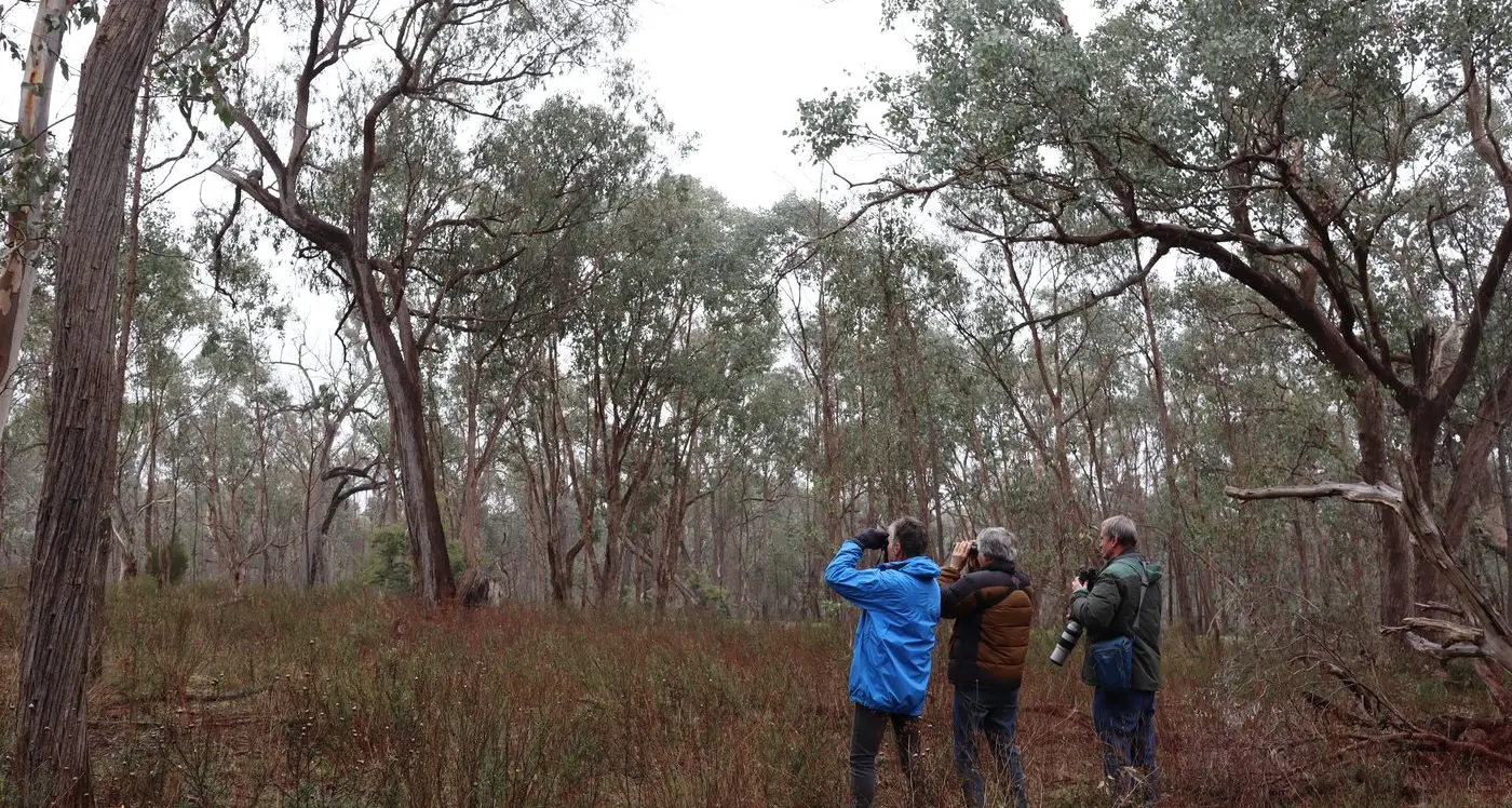 Wildlife Tales to keep you connected with the great outdoors