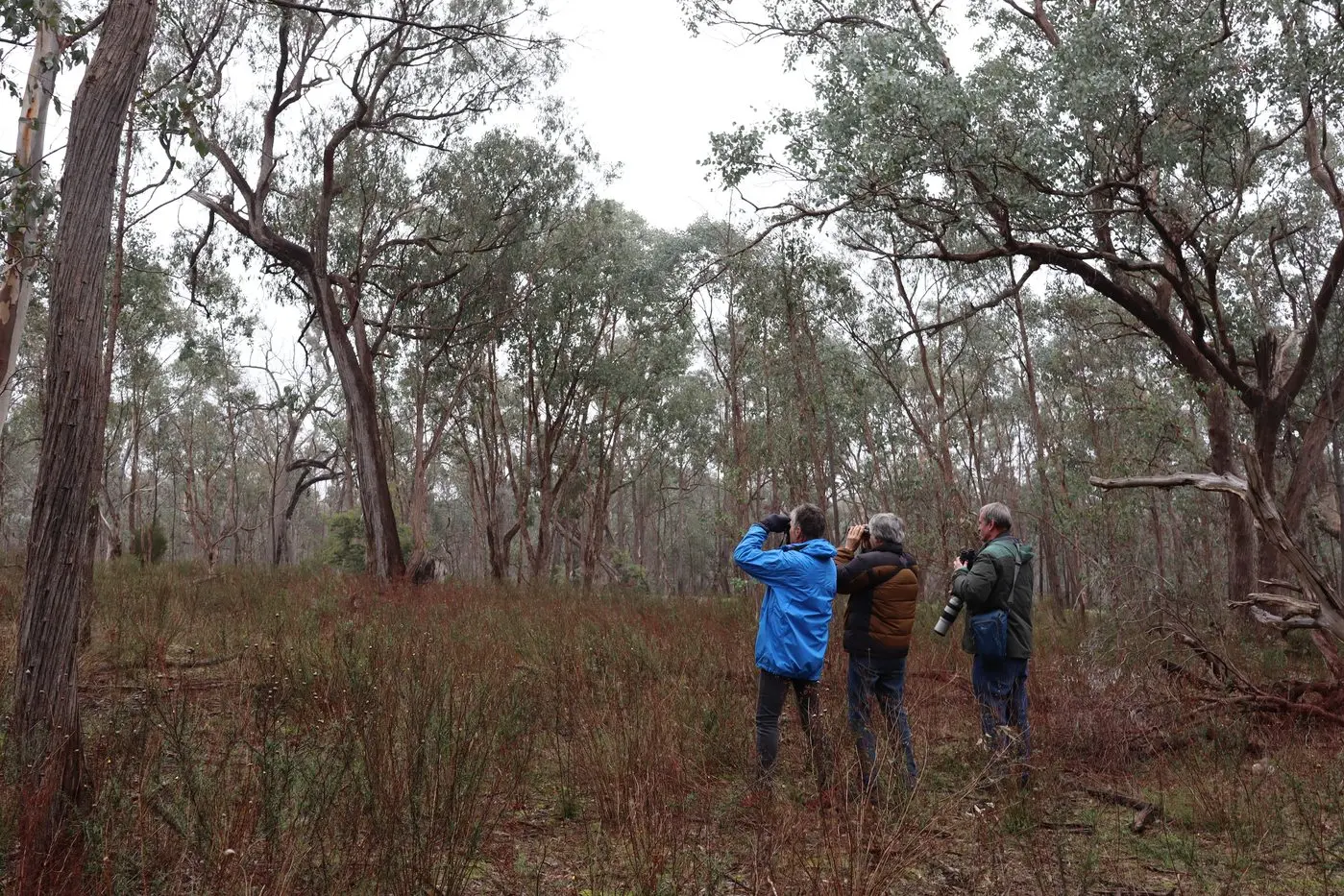 NATURE IMMERSION: Previous Swaps, Rivers & Ranges programs, including the bird survey volunteer program at the Warby Ovens National Park (pictured), have proven to be well-liked by participants. PHOTO: Sophie Enders