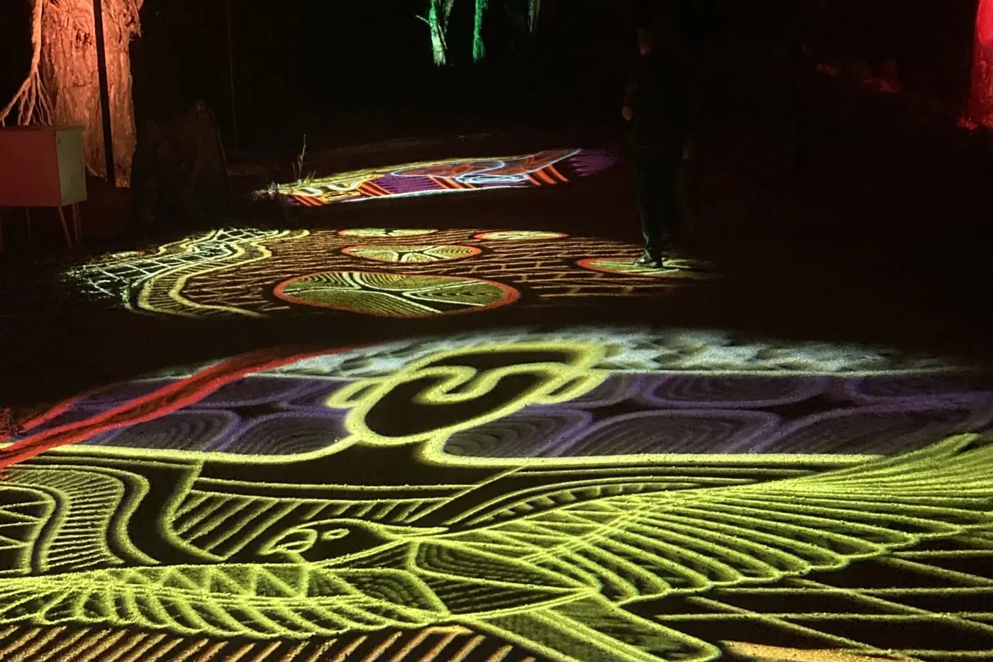 CULTURAL EXPERIENCE: Various animals are depicted through colourful laser lighting. PHOTOS: Russell Sully