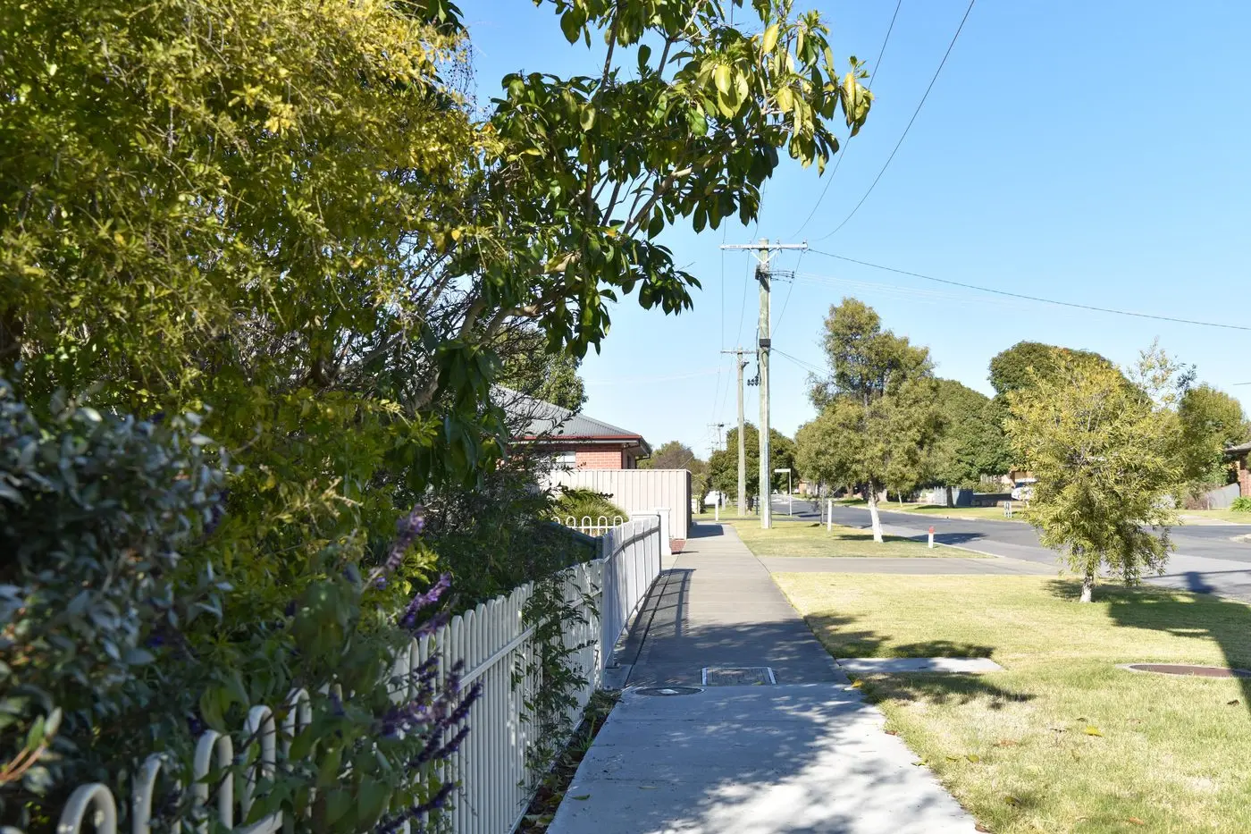 PEDESTRIAN FRIENDLY: A tree overhanging a footpath with 2.5 metre clearance. PHOTO: Kurt Hickling Id:28073