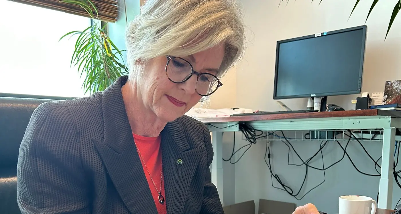 Budget tax cuts an 'election sweetener'