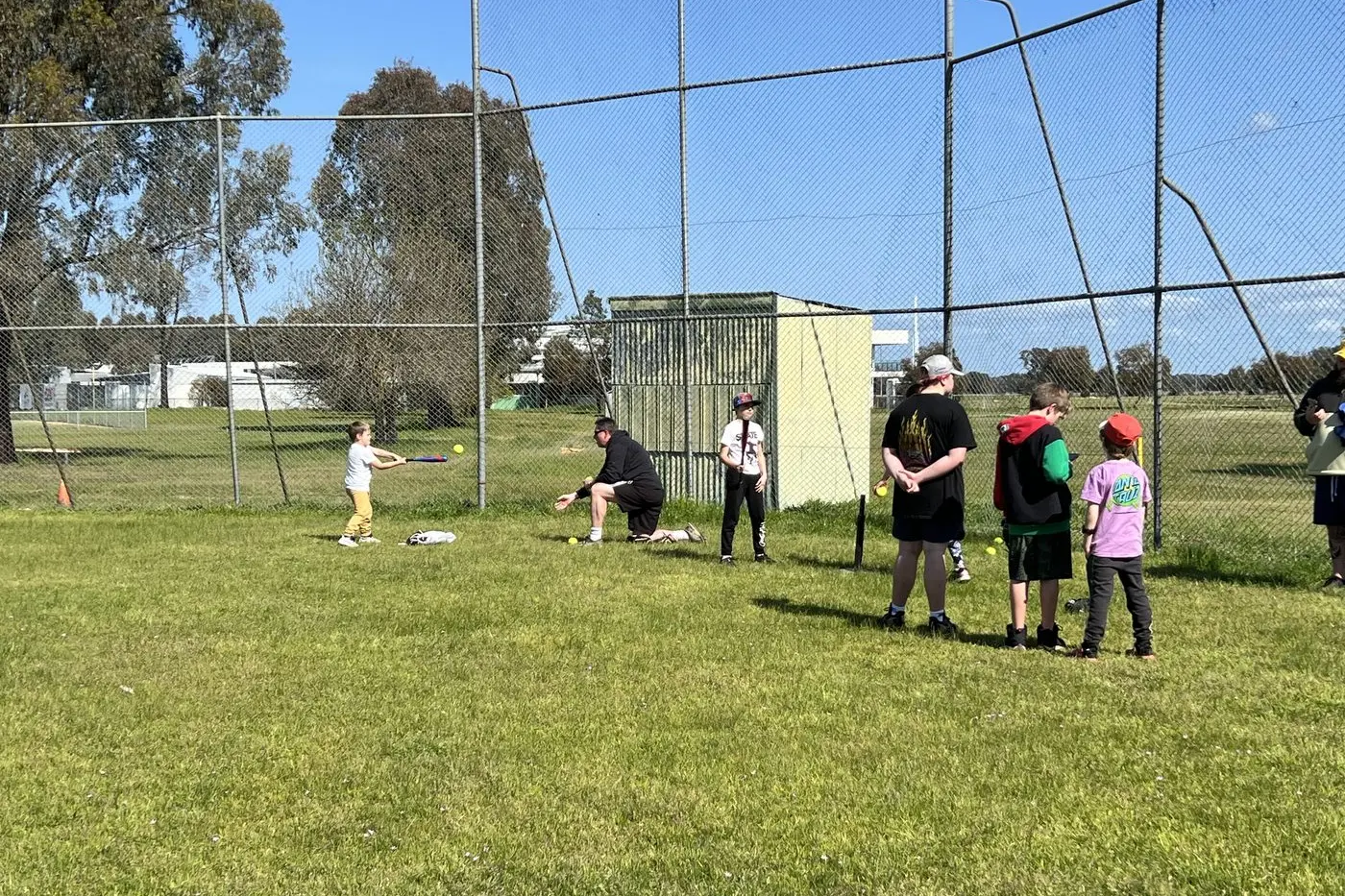 ROLL UP:  Have a go at softball tryouts tonight at Targoora Park.