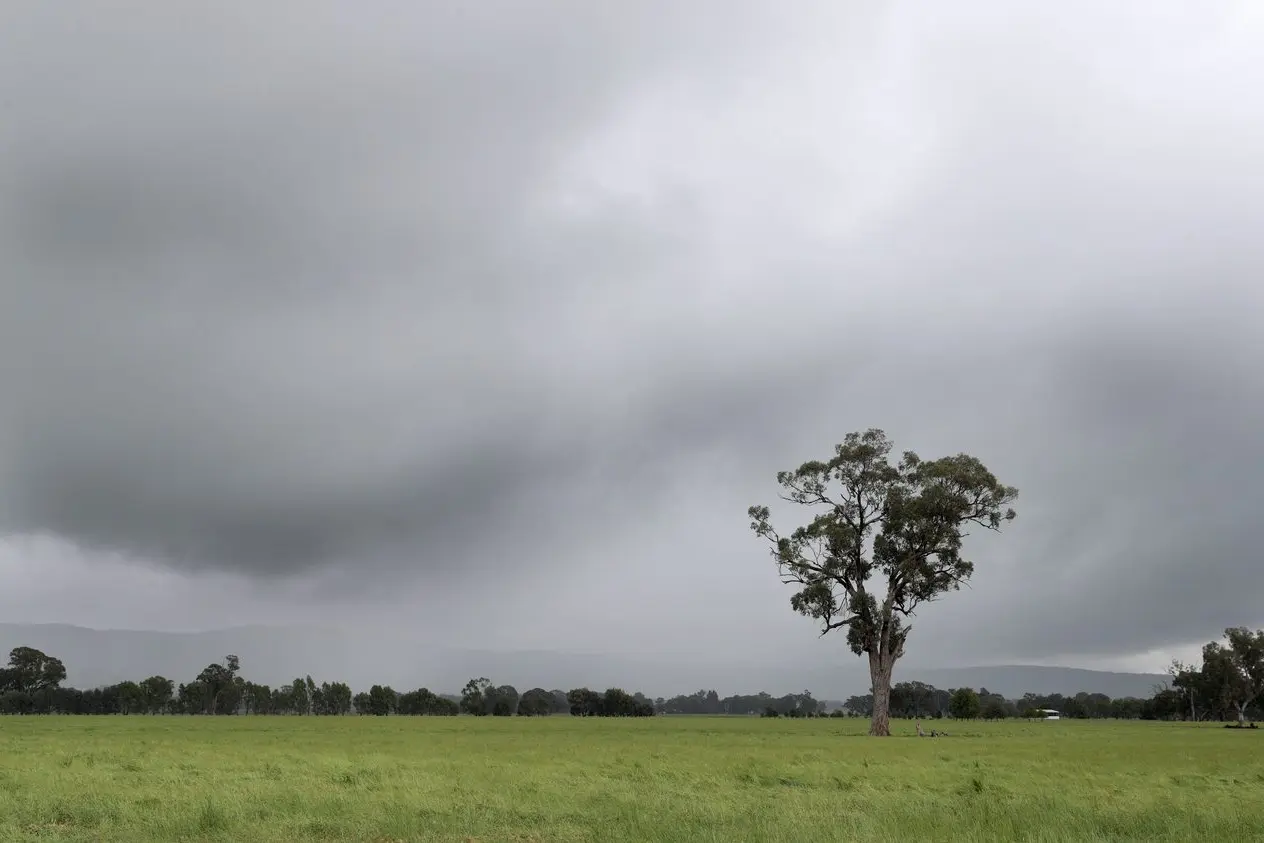Early winter rain welcome after dry autumn