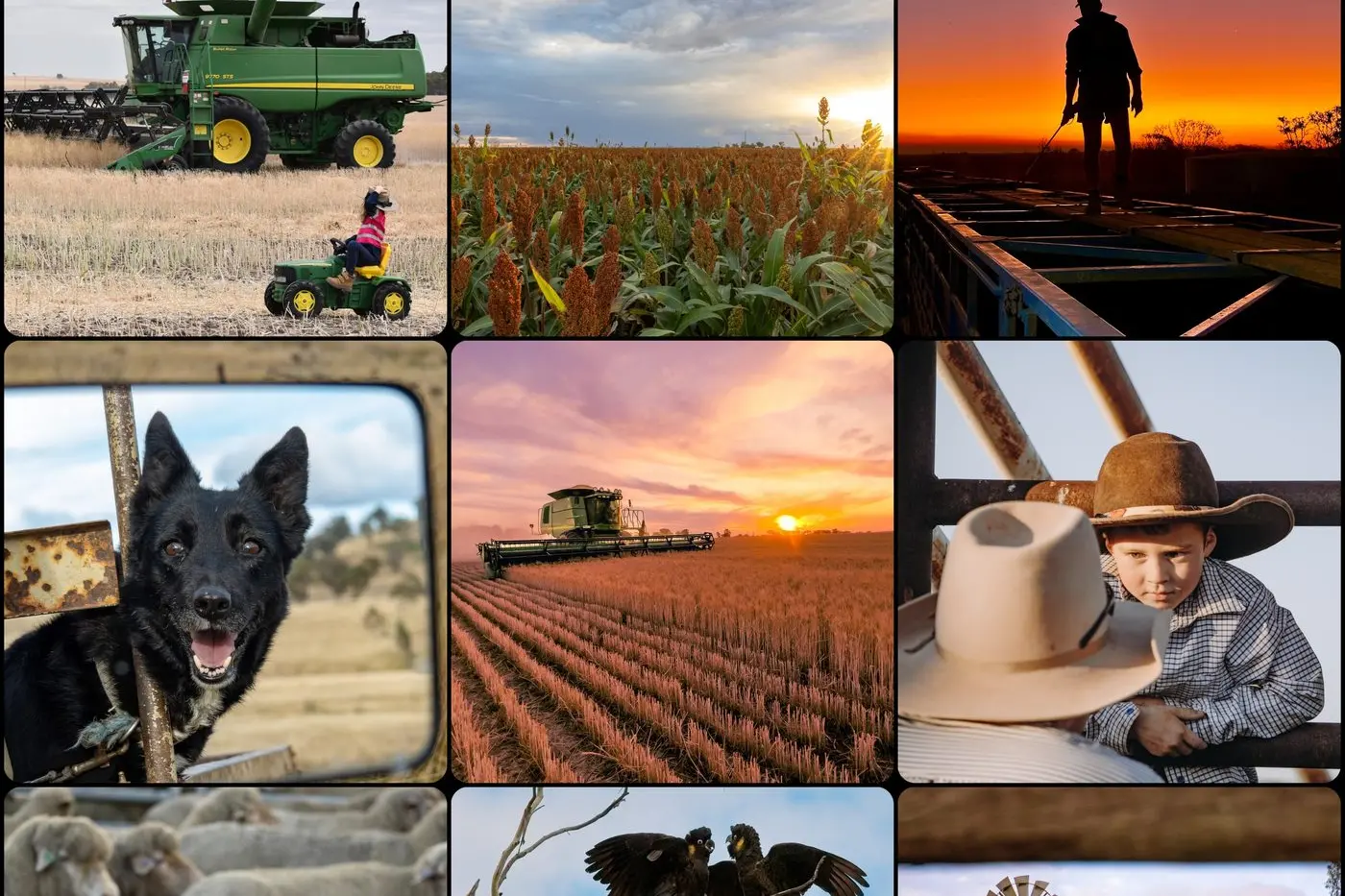 LIFE ON THE LAND: Rural Aid\\'s 6th annual Spirit of the Bush Photo Competition is running from 14 July to 31 August.