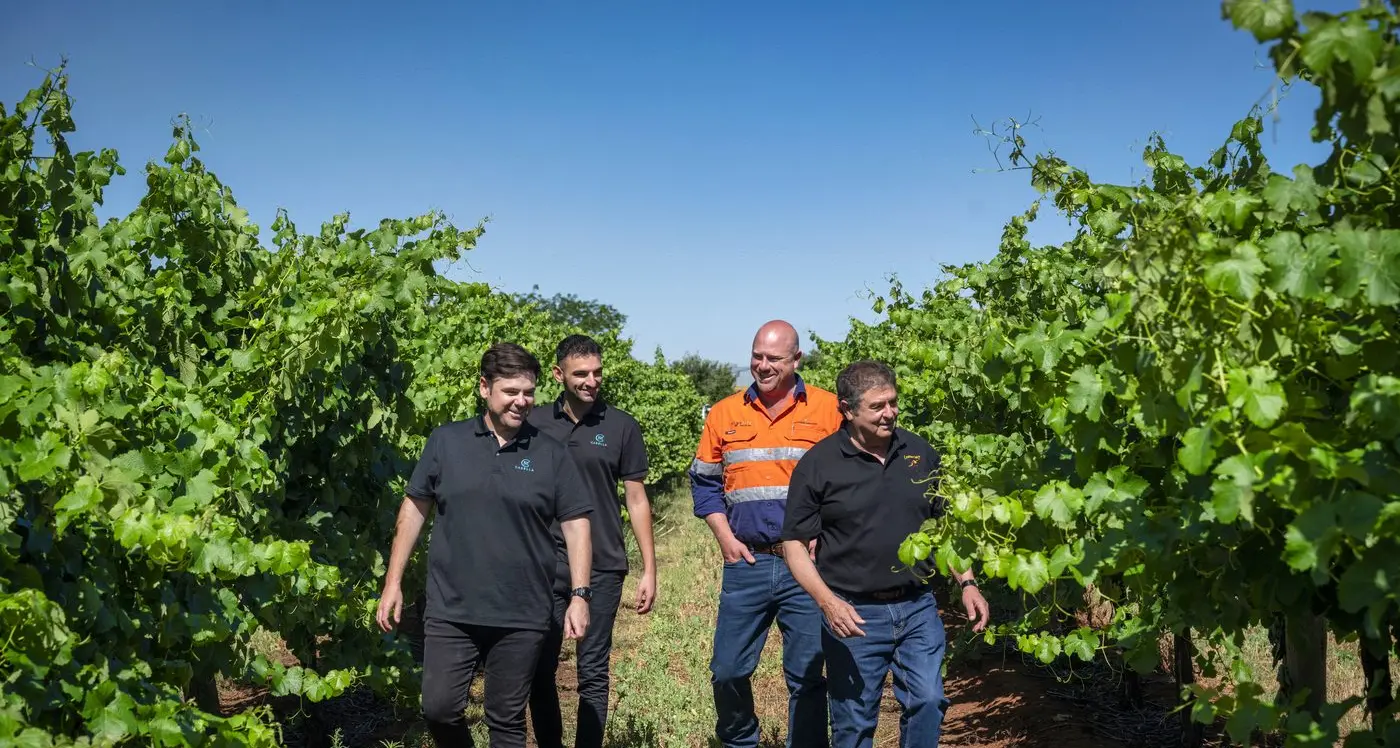 Casella announces Sustainable Winegrowing Australia certification