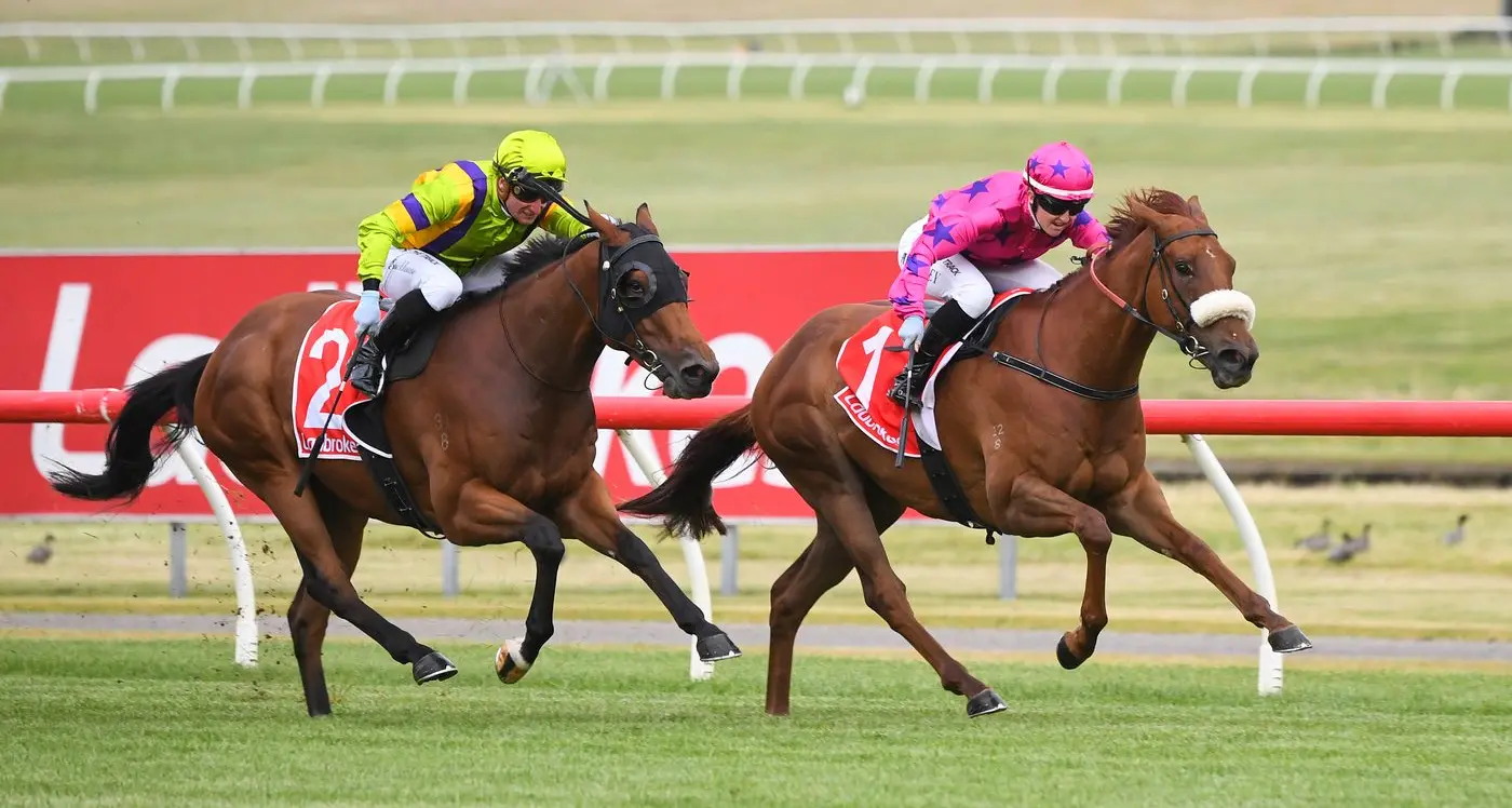 Suparazi impresses once again