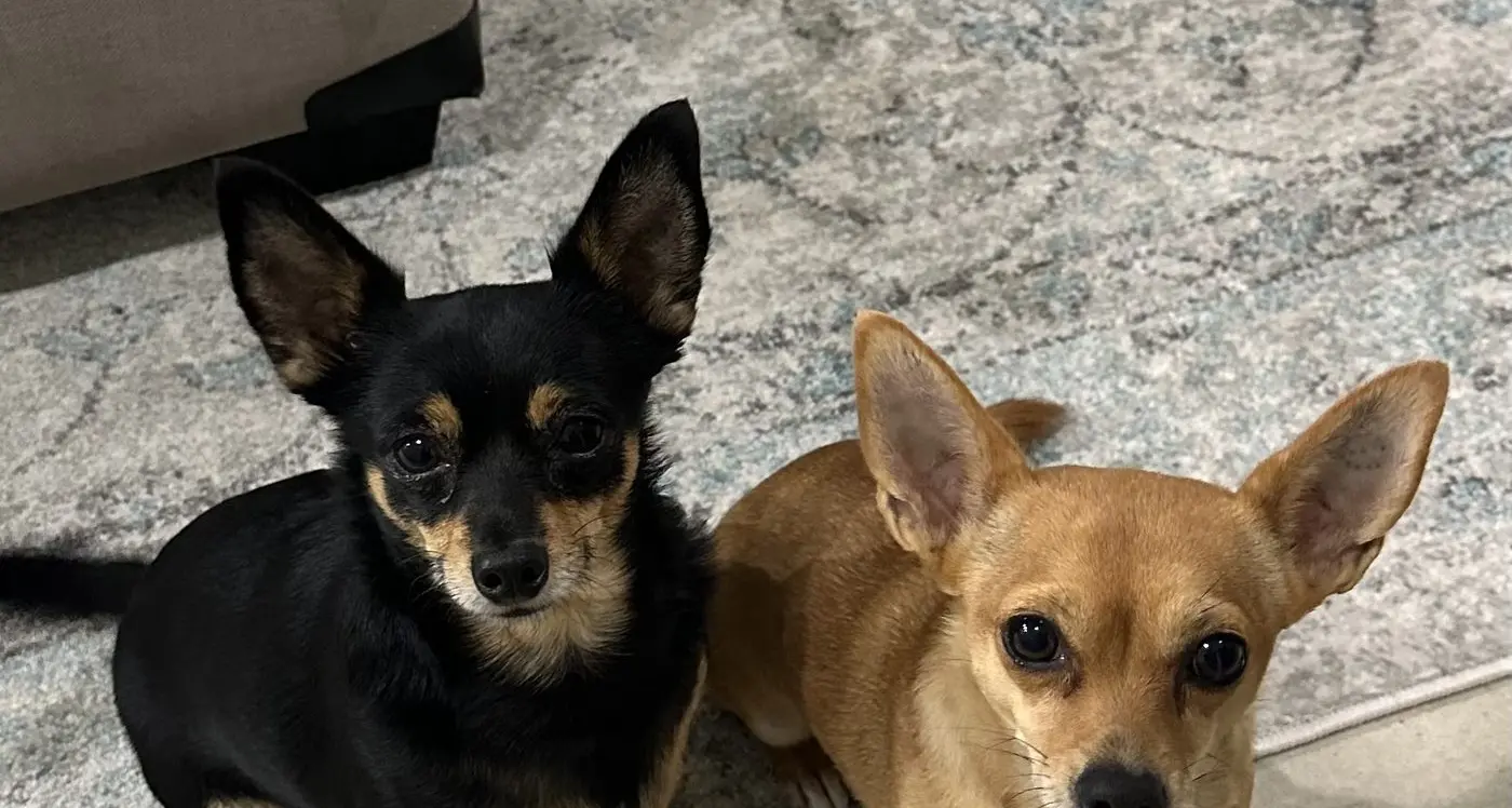 No wifi creates patient disconnection