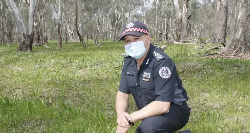 Higher rainfall may reduce severity of our fire season