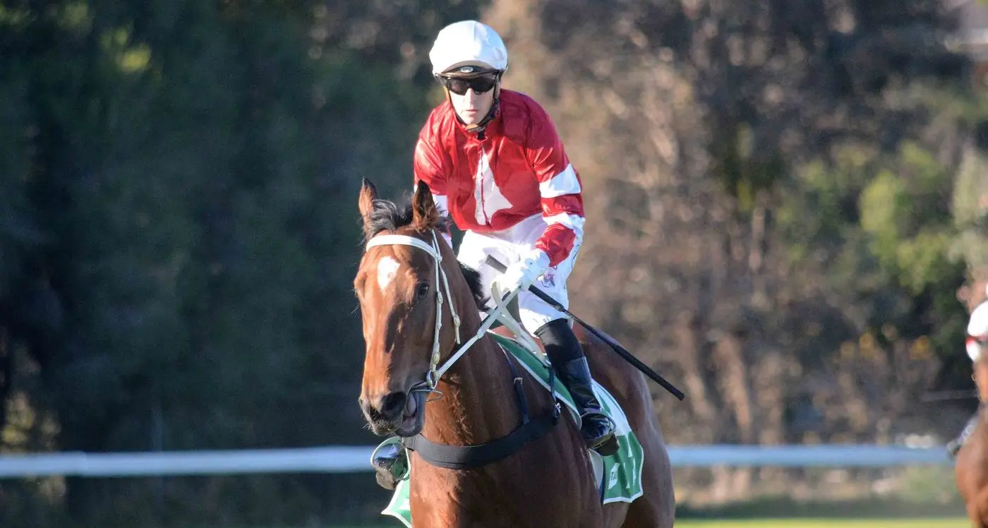 Dale unearths next stable star
