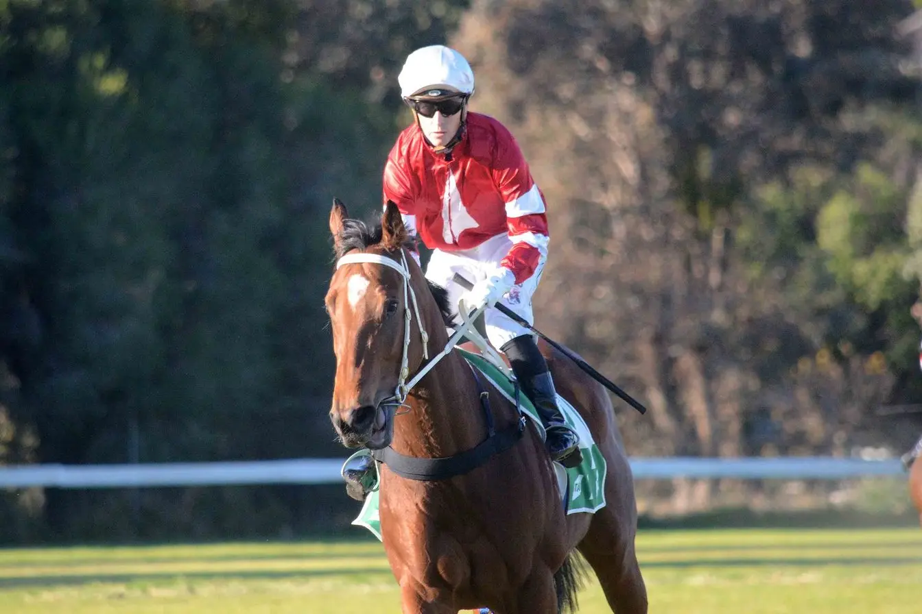 RISING STAR: Brenlyn\\'s Daisy won the fourth race of her fledgling career on Friday. PHOTO: Trackpix Racing Photography