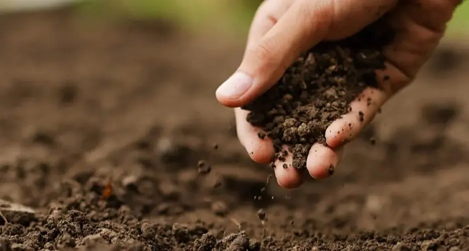 Farming carbon conference at Beechworth