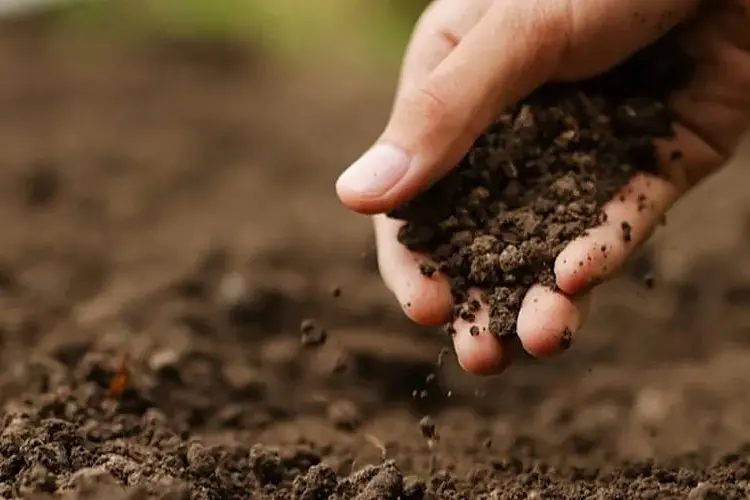 CARBON FARMING REVEALED: Learn more about the benefits of carbon farming at the Farming Carbon 2023 Conference in Beechworth in February. Id:35733