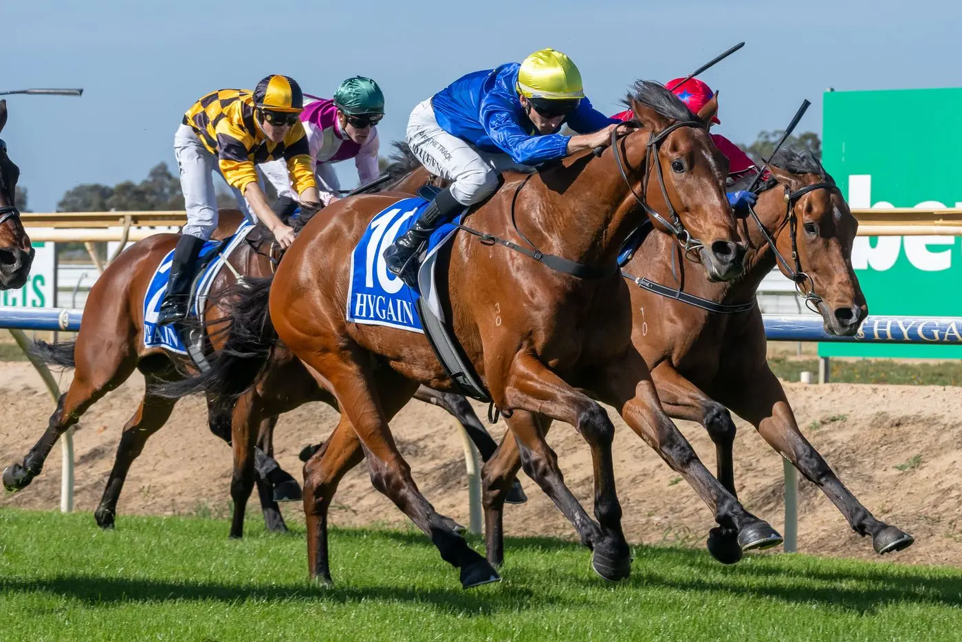 ON FIRE: Craig Weeding\\'s Ashau Valley won at big odds at Benalla on Monday. PHOTO: Racing Photos