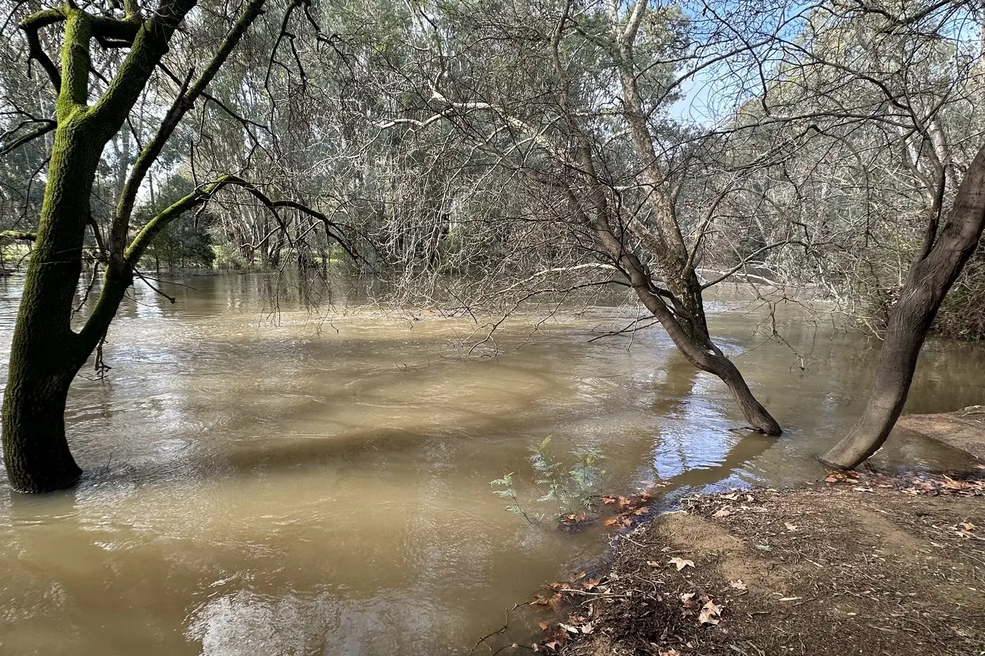 ON WATCH: A minor fllod watch was expected to be active on the Ovens River in Wangaratta until Wednesday.