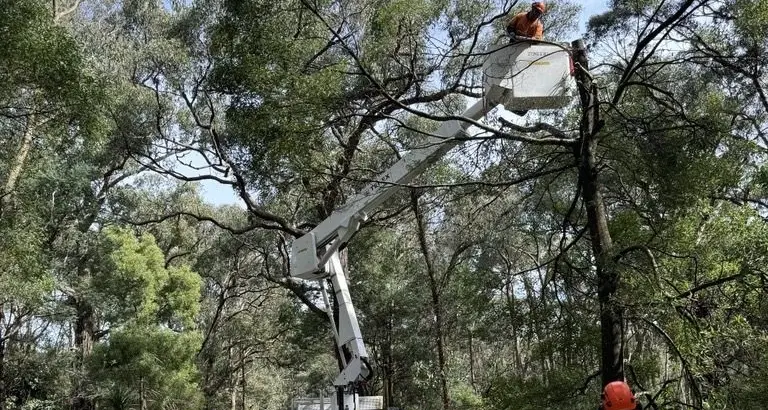 AusNet proposes investment to upgrade distribution network