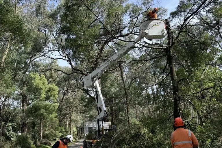 STORM DAMAGE: AusNet says its proposal to the Australian Energy Regulator to approve $3.5 billion in investment will help make the network more resilient to extreme weather.
