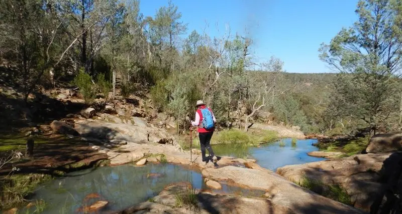 City’s natural jewel shines as lockdown restrictions ease