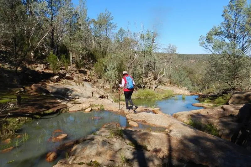 NATURAL TREASURES: The Pine Gully walk is among the tracks in the Warby Range which locals have enjoyed discovering or becoming re-acquainted with in recent weeks.  \\n
