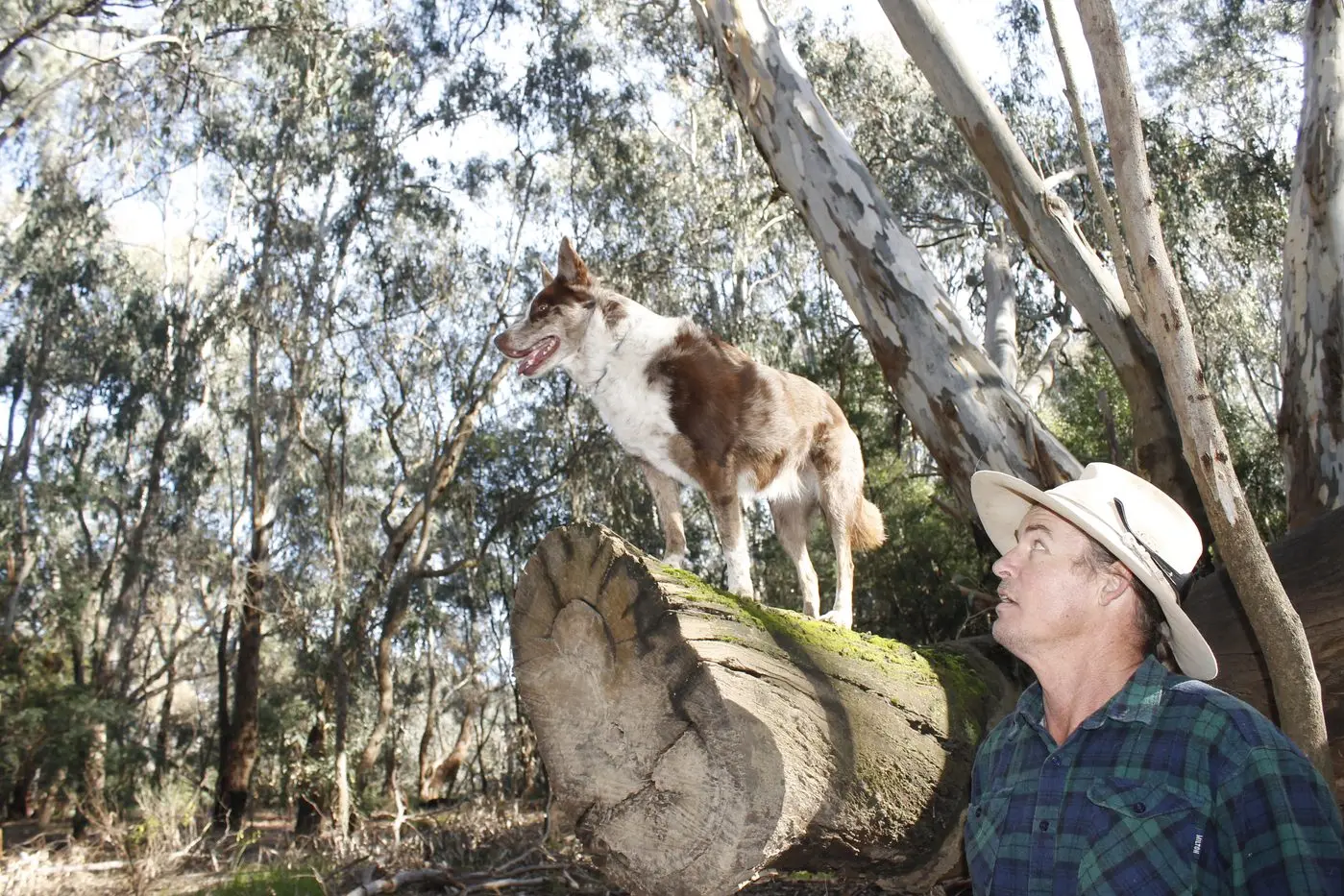 Frank Vickers\\' dog Nina now has something to bark happily about since council added Northern Beaches to the list of off\\u2013leash areas after the location was first omitted in a local law amendment proposal. PHOTO: Jeff Zeuschner