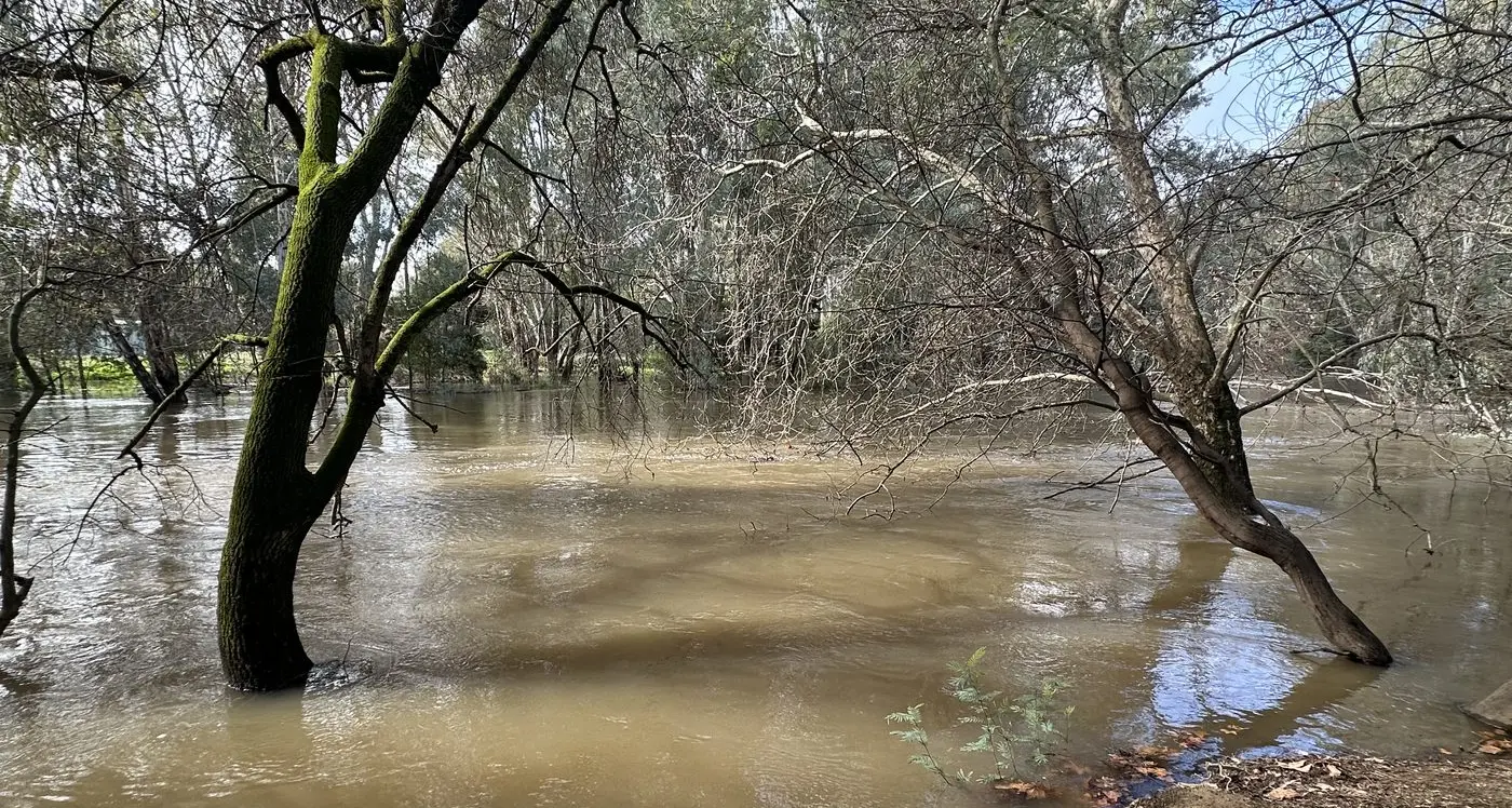 No dry July for Wangaratta
