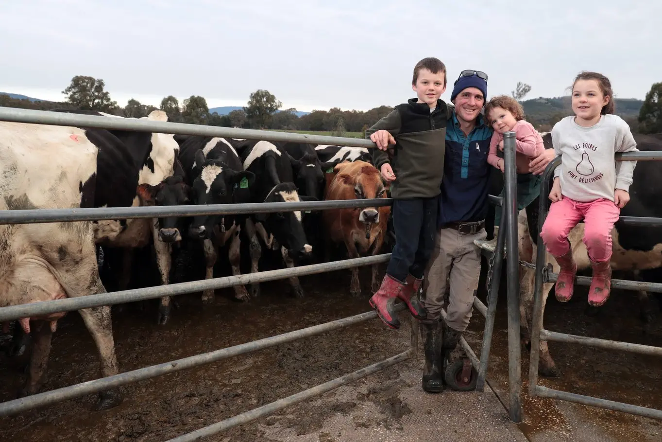 WELCOME RAISE: Whorouly South dairy farmer Jono Pethybridge (pictured with children Owen, Nora and Molly) believes a supermarket price hike for homebrand milk was inevitable due to a dwindling milk pool nationwide. Id:27937