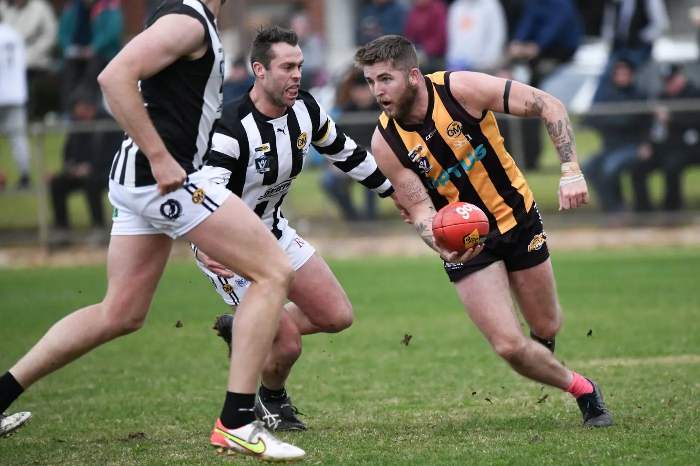 IN CHARGE: Sam Murray will coach Wangaratta Rovers next season. PHOTO: Melissa Beattie Id:29315