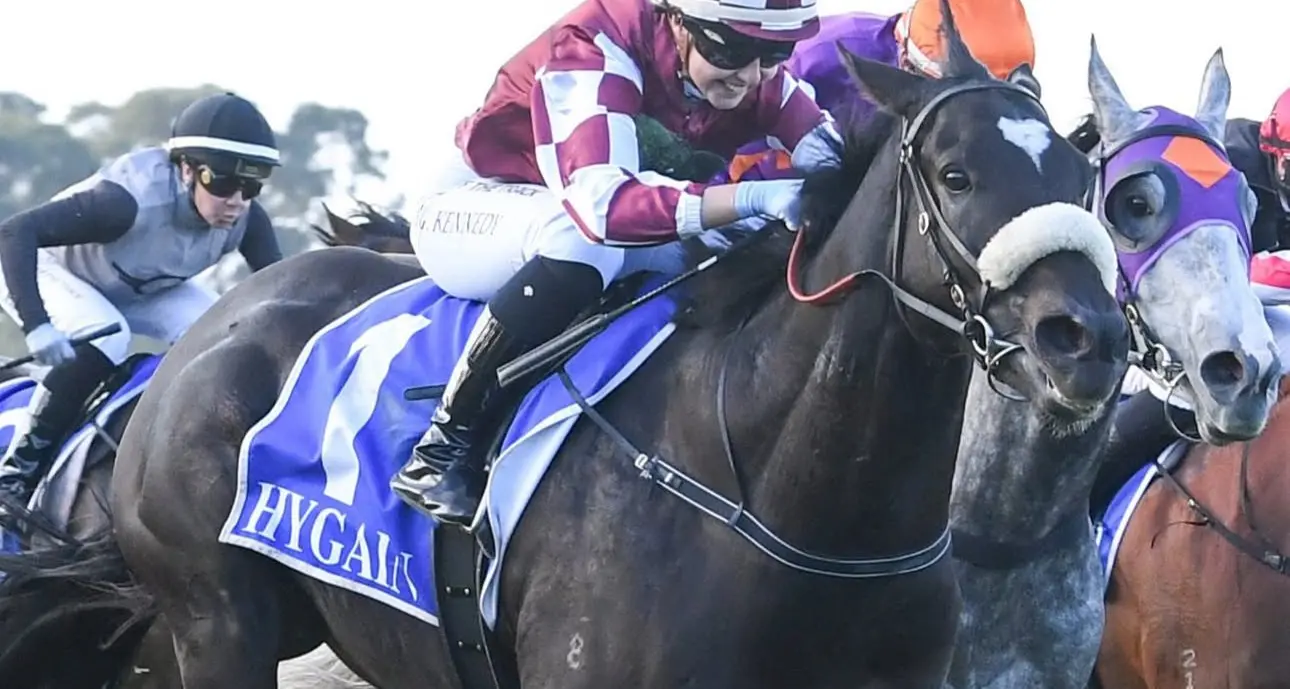 Alice's wonderland with debut win