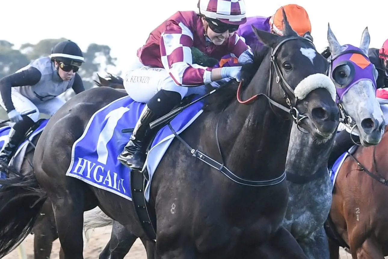Alice's wonderland with debut win