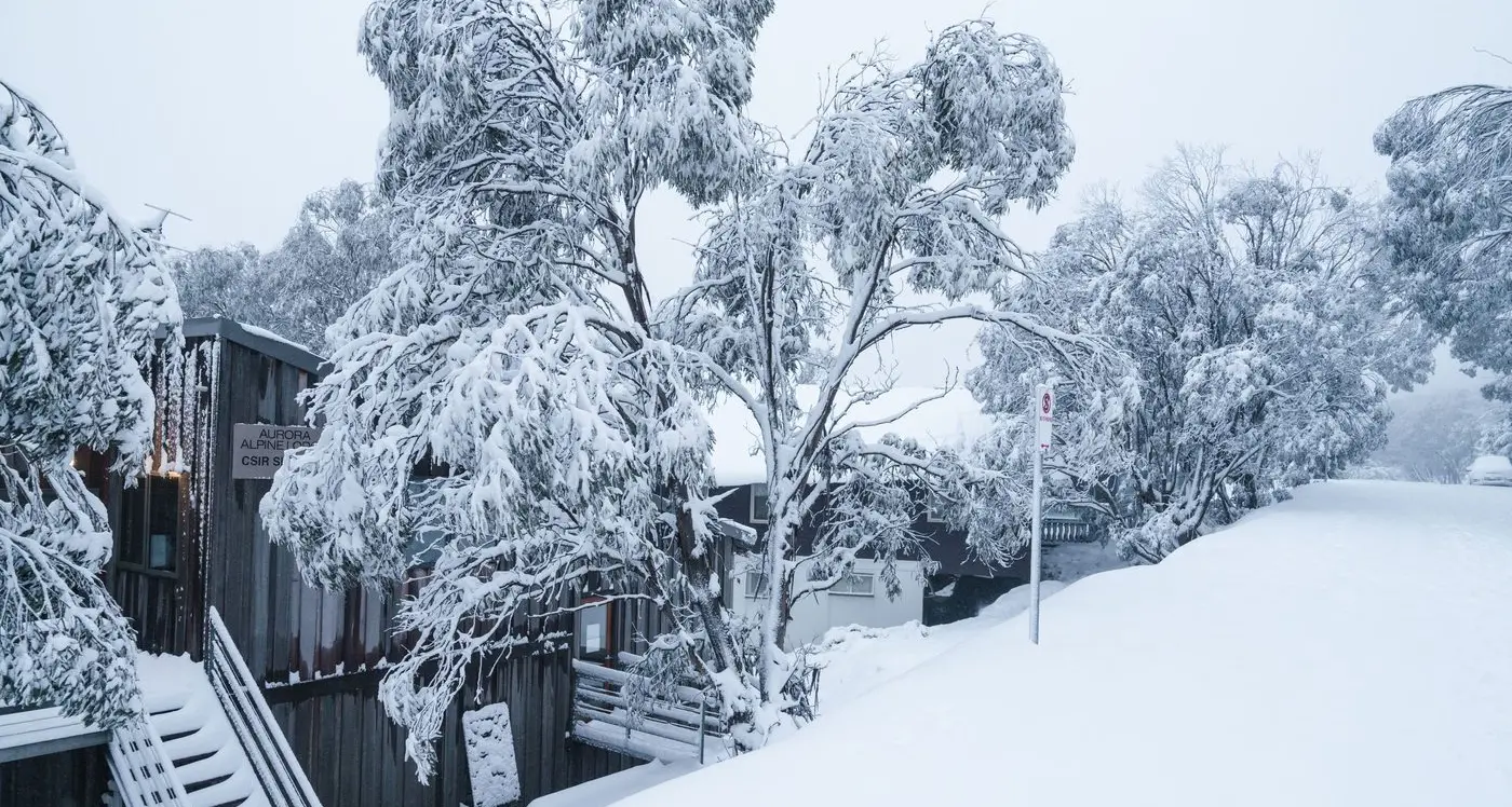 Fresh snowfalls blanket resorts