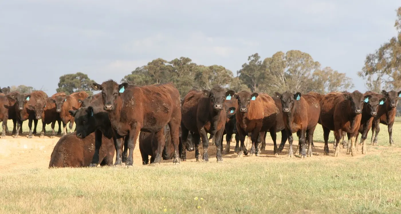 Mixed outlook for farmers
