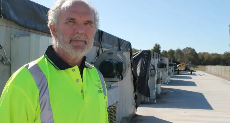 Follow the green brick road