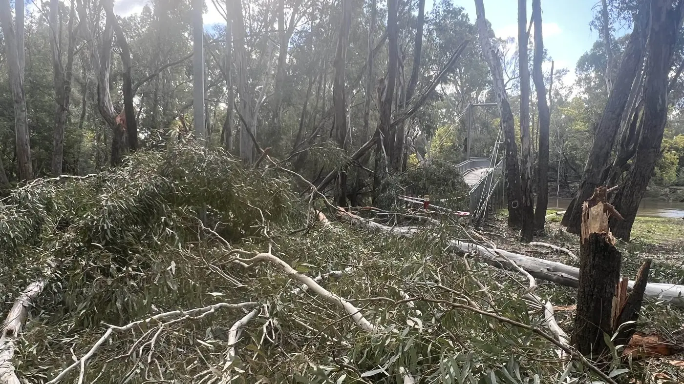 Major cleanup ahead as storm rips through city