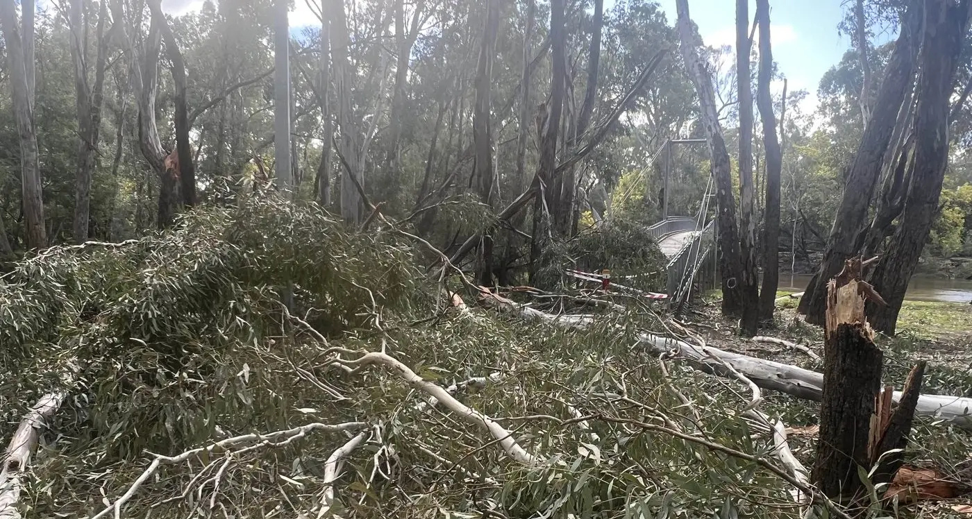 Major cleanup ahead as storm rips through city