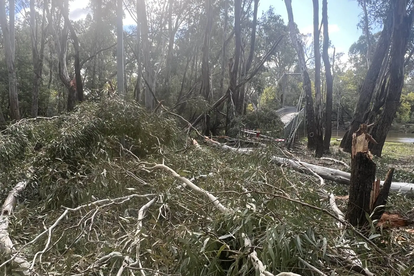 NO WAY THROUGH: The swing bridge at Sydney Beach remained closed on Wednesday as trees and extensive debris laid on the eastern side blocking access. PHOTO: Jeff Zeuschner