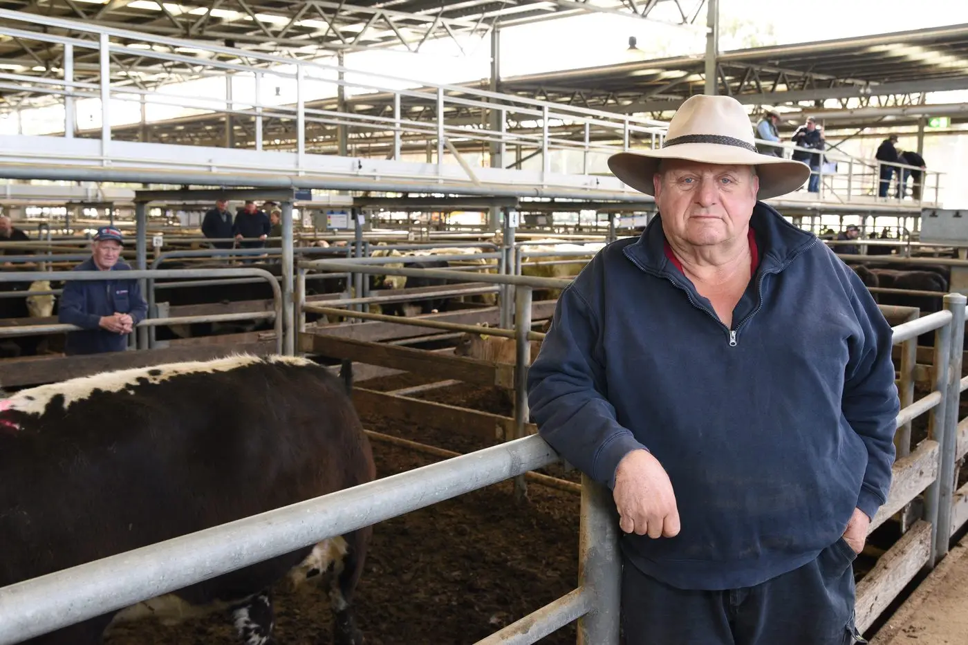 REMAINING CONFIDENT: Moyhu cattle producer Alan Sampson was staying optimistic at last Thursday\\'s sale in Wangaratta. PHOTOS: Kurt Hickling. 