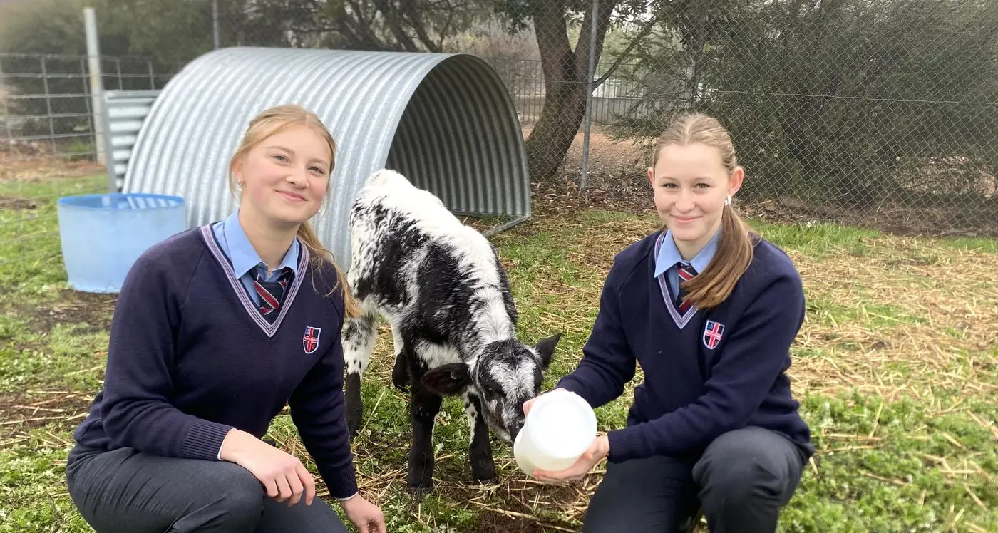 News from our schools and kinders