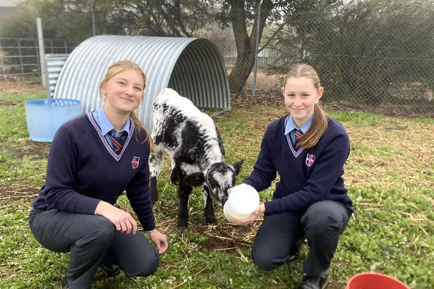 FARM LIFE: CCW students Ellie McDonald and Eve Wilson enjoyed feeding one of the college\\'s new additions, a Speckle Park calf.