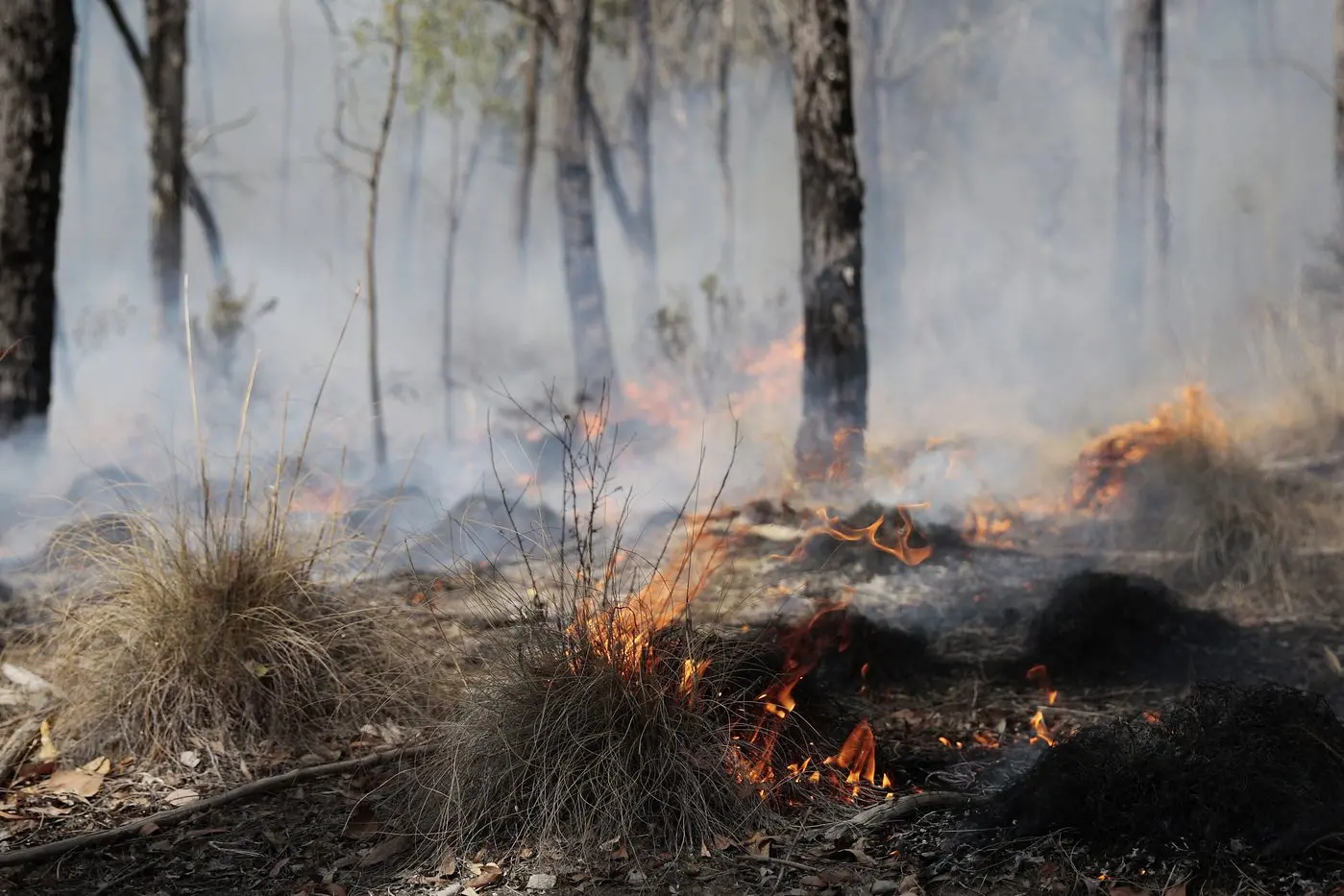 A shared responsibility: new bushfire strategy sets 10-year vision