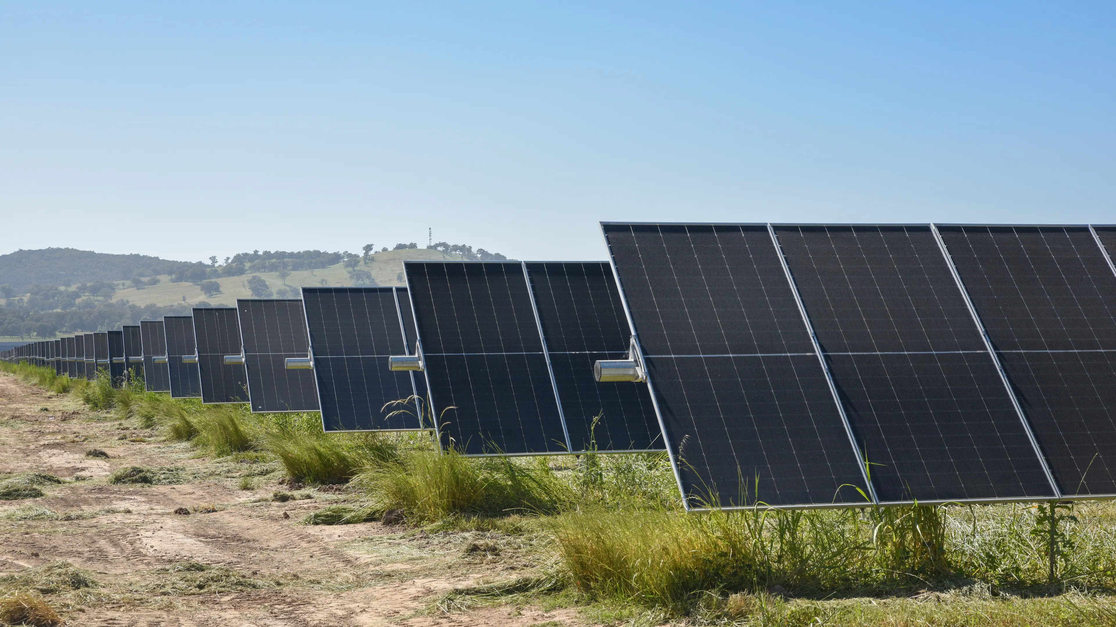 Government greenlight Meadow Creek Solar Farm