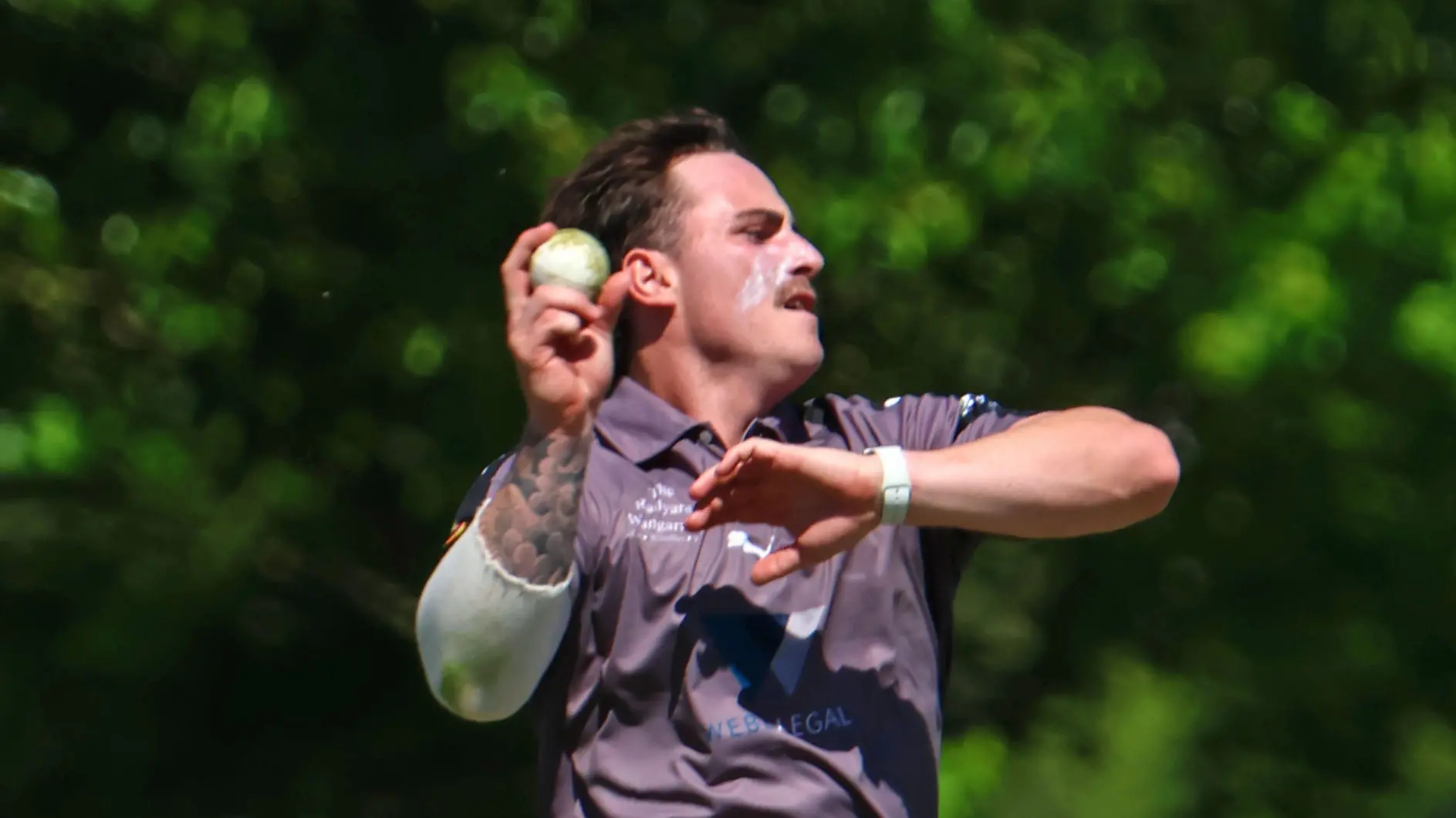 Magpies unable to contain roaring Tigers