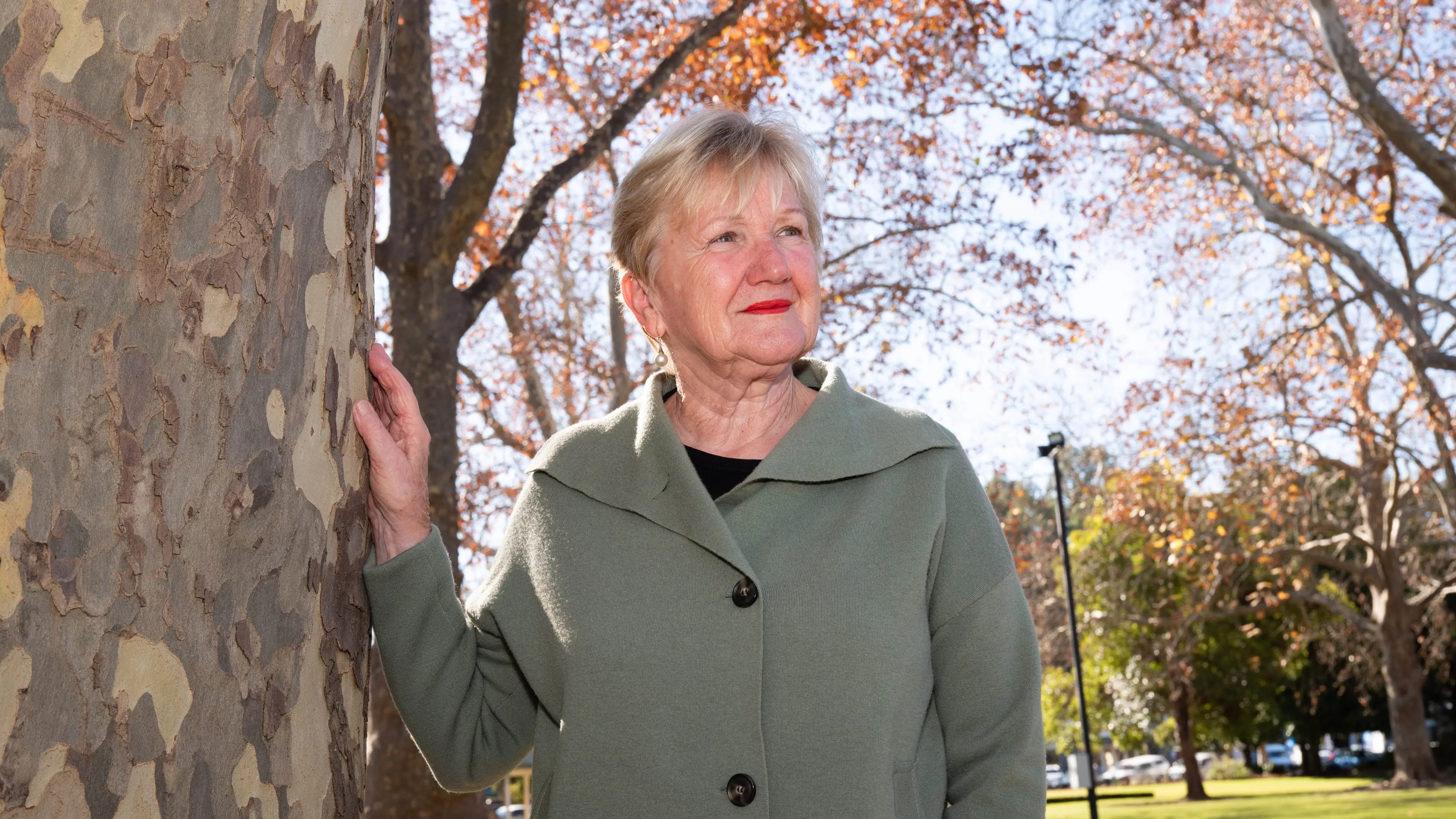 Council to enter “unprecedented” territory following state's solar farm approval