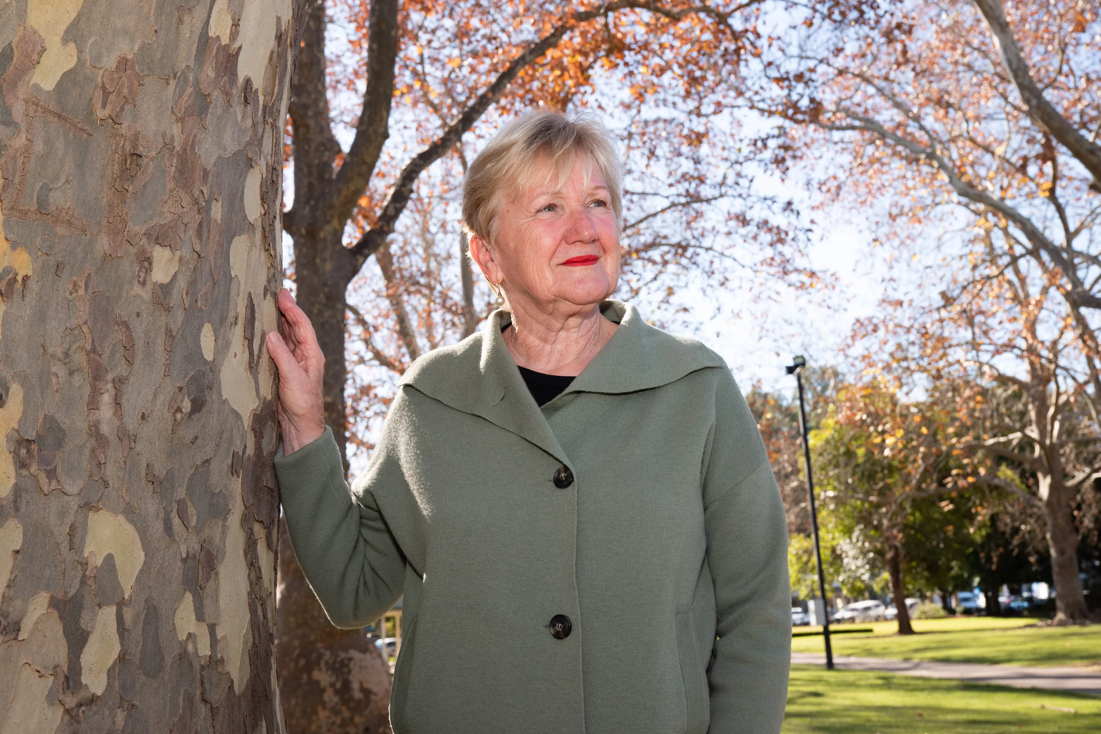 <p>UNPRECEDENTED TIMES: Rural City of Wangaratta Mayor Irene Grant has received messages of \"horror\" following the approval of the Meadow Creek Solar Farm, as council work towards its next steps in overseeing the massive development. </p>\\n