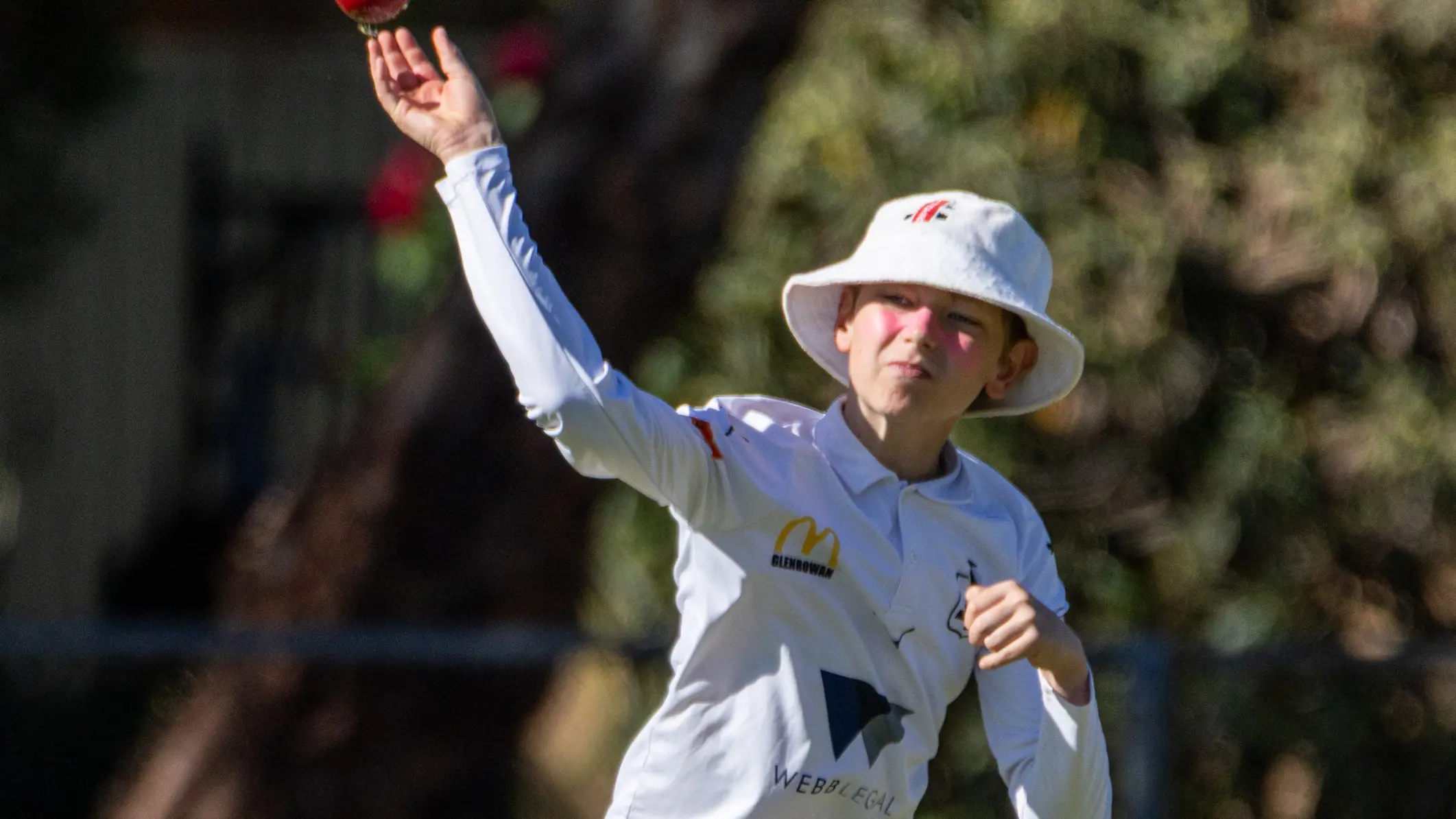 Junior representative cricket taking form