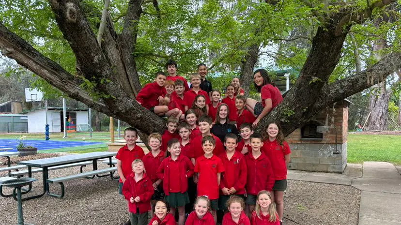 Whitfield Primary School marks 150 years with community celebration