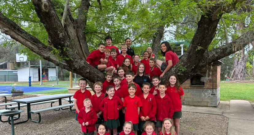 Whitfield Primary School marks 150 years with community celebration