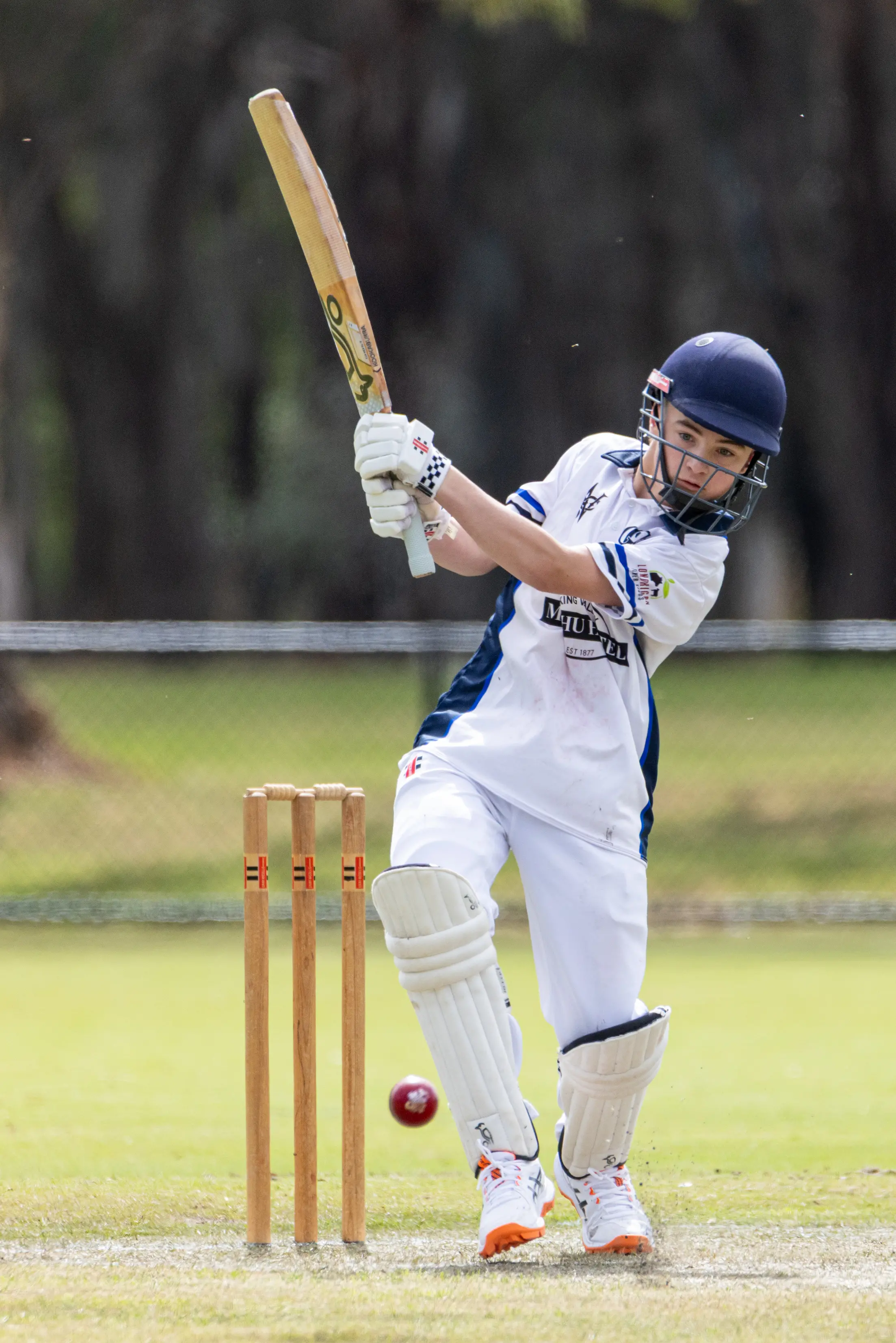 <p>A FINE KNOCK: Greta junior Bodi Jackson belted 49* in his representative trial game on Sunday. PHOTO: Marc Bongers</p>\\n