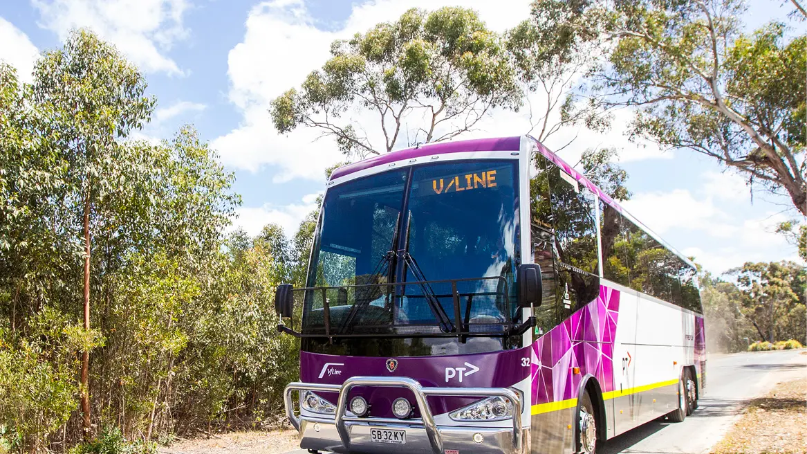 More coach services to Wang touted